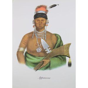 Native American Indian Print Appanoose Sauk Fox 89918 George Cooke